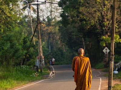 pedestrian, monk, road, portrait, nature, shadow, countryside, trees, jogging, solitude, outdoor, foliage, warm, loneliness, peaceful, trail, dawn, sidewalk, early morning