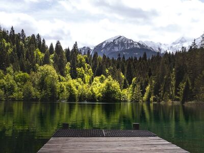 lake, forest, mountains, switzerland, nature, alps, graubünden, rugged, lakeside, wooden, dock, trees, green, serene, gallery, tree, reflection, scenic, hiking, contemplative