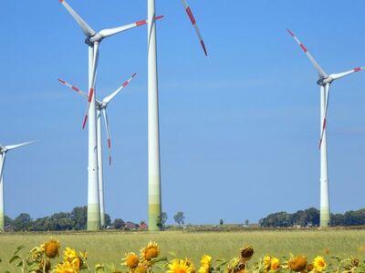 wind turbines, sunflowers, blue sky, renewable energy, climate protection, sustainability, ecology, environmental protection, wind energy, sunflower field, renewable energy plant, electricity, turbine, energy production, environmental technology, green energy, green technology, schleswig-holstein, landscape