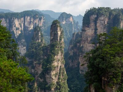 zhangjiajie, mountains, forest, rock pillars, nature, trees, mist, landscape, hiking, tourist attraction, national park, natural wonder, paradise, tranquility, ecotourism, adventure, travel, misty mountain