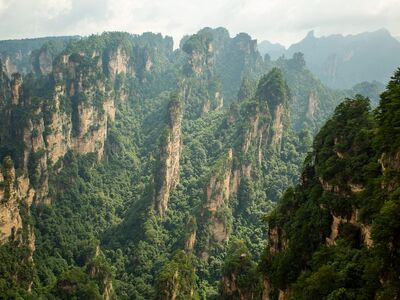 cliff walls, rainforest, zhangjiajie, rock formations, mountains, natural beauty, tourist attraction, national park, dense vegetation, foggy view, ecosystem, adventure, china, panorama, adventurous tourists, volcanic activity, nature, mountain range, wilderness, clouds, hiking
