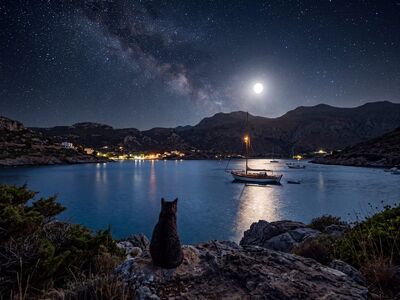 stars, moon, night sky, bay, cat, sailboat, sea, landscape photography, romantic, night, nature scene, animal, water reflection, calm, idyllic, mountains, starry night, peaceful evening, island, fishing boat, enchanting, pet, nature