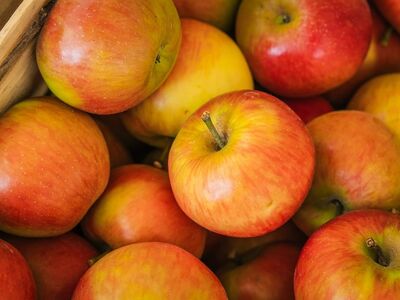apple, red apple, fruit, fresh, healthy, vitamin c, organic, natural, agriculture, autumn, cultivation, harvest, organic food, vitamins, nutrition, apple tree, farmer, crop, market, farm