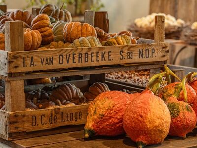 pumpkin, harvest, farm, autumn, rustic, wood, decoration, still life, baskets, storage, fruits, highlight, outdoor, traditional, agriculture, orange, text, vegetable, fresh, crate, farmer