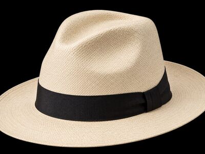 hat, straw hat, panama hat, fashion, accessory, clothing, summer, style, elegance, man, wide brim, summer wear, casual, felt hat, nature, retro, millinery, black band, apparel, classic, hat industry