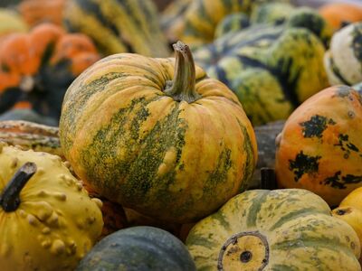 pumpkin, various colors, autumn, agriculture, green, yellow, orange, speckled, harvest, decorative, vegetables, texture, cultivar, traditional, composition, market, autumn decoration, colors of nature, color, natural