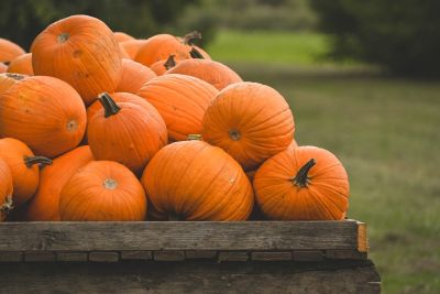 pumpkin, autumn, decoration, wooden crate, countryside, harvest, agriculture, nature, fresh, organic, natural, farm, fall harvest, rural scene, ash, traditional, orange, checkered, horticulture, crop