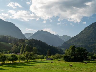 oberstdorf, allgäu, mountains, alps, valley, morning, meadow, cows, agriculture, light, nature, mountain landscape, bavaria, forests, shadows, cabins, hiking, picture, beautiful, countryside