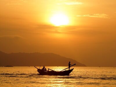 sunrise, boat, dawn, silence, nature, horizon, sea, landscape, travel, spear, fishing, paddle, summer, reeds, calm, beach, row, skiff, person, motorboat
