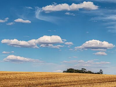 sky, desktop backgrounds, 4k wallpaper, mac wallpaper, clouds, cool backgrounds, hd wallpaper, 4k wallpaper 1920x1080, beautiful nature, rural, wheat field, free wallpaper, summer, free background, agriculture, sky background, nature, horizon, wallpaper hd, wallpaper 4k, landscape, sunny, daytime, nature wallpaper, blue sky, full hd wallpaper, windows wallpaper, laptop wallpaper, cumulus clouds, harvest, gold, nature background, yellow, wallpaper, scenic, straw, beautiful wallpaper, stubble