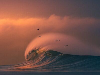 ocean, wave, sunset, dramatic sky, nature, soft light, golden hour, sea mist, natural beauty, birds, water drop, coast, spray, ocean wave, shore, birds over water, glare-free, fluid motion, evening calm, sea horizon, flowing water