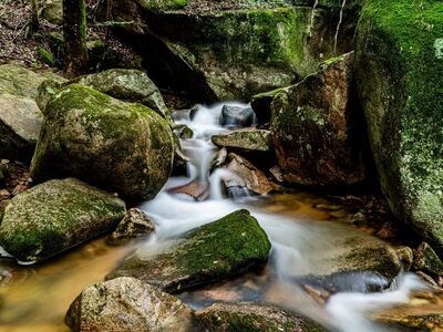 nature, stream, rocky, forest, waterfall, rock formation, water flow, bank, moss, tranquil, natural beauty, high contrast, elevation, ecology, calm, natural scene, tourist destination, asian mountains, trees in background, south korea, water falling on rocks