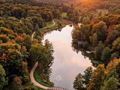 nature, landscape, forest, river, tree, bridge, path, sunrise, autumn, lake, peaceful, natural, scenery, park, dawn, water, road, recreational, autumn colors