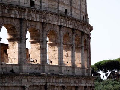colosseum, rome, italy, amphitheater, ancient architecture, stone, arch, historic landmark, roman empire, sunny day, clear sky, wonder of the world, heritage, tourist destination, architectural details, exterior architecture, roman arches, landmark photography, evergreen