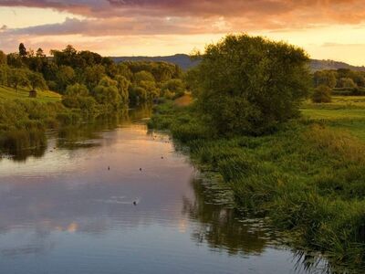 river, swan, sunset, sky, nature, trees, peaceful, reflection, low angle, green grass, calm water, hill view, afternoon, clouds, panorama, wildlife, countryside, water reflection, quiet, landscape, visual, evening