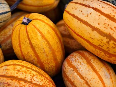 squash, orange, hawaii, harvest, autumn, detail, stripes, markets, organic, agriculture, food, fresh, colorful, cuisine, winter squash, texture, trade, plant-based