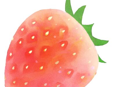 fruit, strawberry, watercolor, art, sweet, summer, red, healthy, nature, fresh, red fruit, delicious, delicate, simple, white background, bright, natural, simplicity, botany