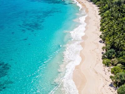 beach, sea water, crystal clear water, sandy shore, coastline, summer landscape, tropical, tropical forest, serenity, tourism, nature, viewpoint, vacation, blue sky, resort, swaying trees, seaside paradise, sunny day, tourist destination