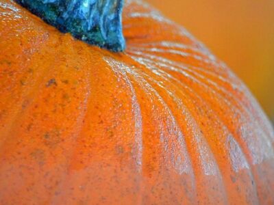 pumpkin, autumn, decoration, harvest, dew, orange, close-up, texture, nature, food, skin, agriculture, fresh, festival, culture, cooking, ripe, stem, country, fashion, yellow