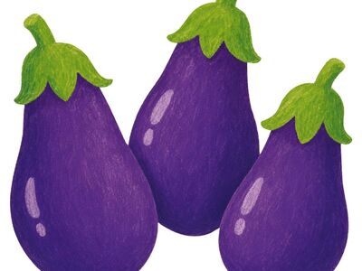 eggplant, fruit, vegetable, purple, emoji, cartoon, green stem, detail, flower wallpaper, drawing, flower, graphics, nature, flower background, flat style, digital art, hand-drawn, beautiful flowers, rustic, art, template, vector art, pop art
