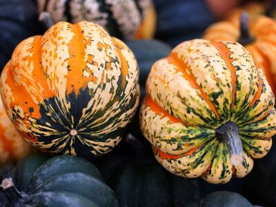 pumpkin, decorative gourd, autumn, harvest, natural decoration, autumn decoration, traditional, texture, beautiful, colorful, autumn atmosphere, variegated, rind, fresh, agriculture, storability, market, organic, rural, vegetable, earth tones