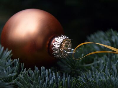 christmas bauble, pine branches, golden ribbon, christmas decoration, advent, winter theme, christmas background, white and green contrast, christmas card, green needles, christmas magic, quiet atmosphere, christmas holidays, light and shadow, elegant design, holiday spirit, festival, gloomy atmosphere, stylish composition