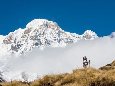 nepal, annapurna, mountains, snow, trekking, backpacking, outdoor adventure, sea of clouds, blue sky, pristine nature, shrubs, mountain view, alpine meadow, nature trip, nature, altitude, expedition