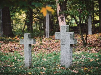 cross, headstone, forest, autumn, leaves, falling leaves, tombstone, cemetery, stone, memorial stone, historical, heritage, park, silence, peace, shadow, nature, idyllic, ancient, fallen leaves, remembrance, Nowy Dwór Mazowiecki, Masovian Voivodeship, Poland