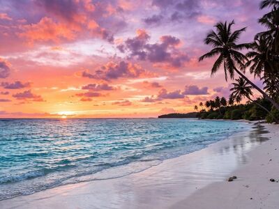 beach, sunset, tropical, palm trees, ocean, sea, sand, turquoise, sky, paradise, clouds, beautiful view, calm, warm, water, vacation, summer, nature, dawn, holiday destination, natural beauty, travel