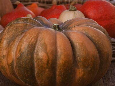 pumpkin, autumn, vegetable, basket, harvest, holiday decoration, ornament, agriculture, harvest festival, autumn decoration, seasonal, texture, food, festive, pumpkin soup, pattern, fall colors, traditional, craft, rustic