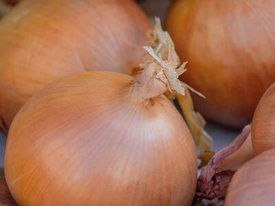 onion, vegetable, fresh, food, ingredient, cooking, brown, ripe, vegetable market, autumn, horticulture, chopped, healthy, field, agriculture, storage, diet, farmers market, packing