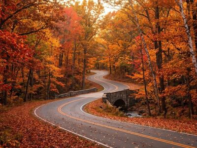 autumn, road, forest, highway, curve, loop, birch, trees, leaves, scenic, photography, landscape, route, autumn forest, nature, hiking, street, leaves underfoot, october, sunset