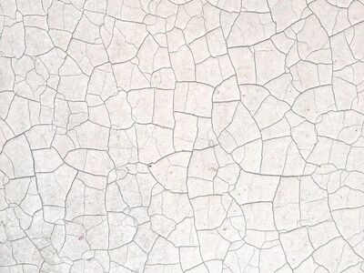 abstract, pattern, surface, texture, cracked, paint, dry, dried paint, cracks, white, phone wallpaper, iphone wallpaper, abstract, pattern, texture, texture, texture, texture, texture, phone wallpaper, phone wallpaper, phone wallpaper, United States, San Diego, California