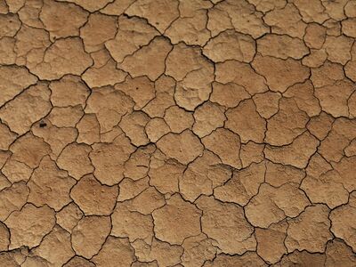 sand, desert, dryness, hot, dry, beige, brown, nature, morocco, africa, texture, cracks, drought, earth, broken up, cracked, sand, sand, sand, sand, sand, desert, desert, africa, africa, texture, drought, drought, earth, earth