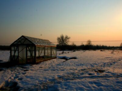 nature, tver, village