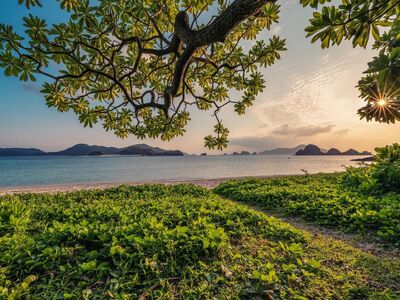 sunset, sand, beach, islands, leaf, subtropical, okinawa, japan, beautiful nature, nature, landscape, hd wallpapers, hd wallpaper, nature background, nature wallpaper