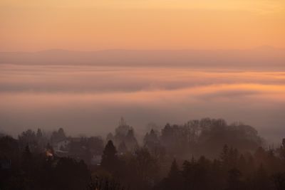 trees, fog, wallpaper 4k, foggy, forest, sky background, desktop backgrounds, full hd wallpaper, village, laptop wallpaper, free wallpaper, wallpaper hd, fall, autumn, winter, 4k wallpaper, sun, hd wallpaper, sunset, clouds, mac wallpaper, cool backgrounds, windows wallpaper, free background, sky, background, beautiful wallpaper, austria, landscape, 4k wallpaper 1920x1080, nature
