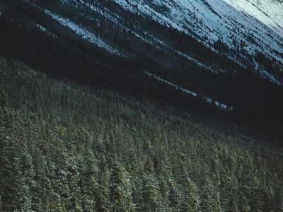 winter, snow, mountain, jasper, canada, banff, alberta, nature, travel, forest