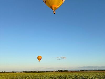 hot air balloon, field, hot air balloon ride, summer, blue sky, nature, transport, pfalz gas, werbung, werbebanner, industrie, rheinland-pfalz, deutschland, herxheim, heißluftballon, sport, abenteuer, zwei, ballons, zwei heißluftballons, pfalz gas firma, firma, banner, natur, lebensstil, hoch oben, Herxheim bei Landau/Pfalz, Rhineland-Palatinate, Germany