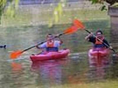boys, rowing, kayak, water, lake, recreation, autumn, leaves, row, sports, nature, park, birds