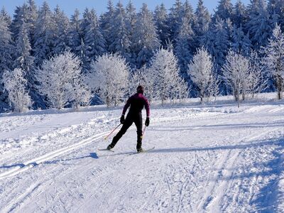 snow, trees, cross-country skier, winter landscape, sports, fitness, leisure time, winter sports, nature, covered in snow, winter