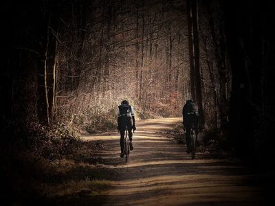 cyclist, forest, forest path, sports, cycling, sunrise, nature