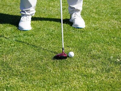 golf, sport, fairway, fairway wood, club