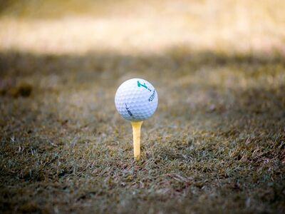 golf, golfer, golfing, recreation, play, golfed, tee, throw, hobby, leisure, player, frisbee, green, sport, game, park
