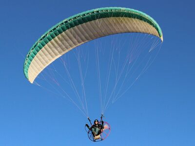 fly, darling, liberty, paragliding, sports, parachute, flying, adventures