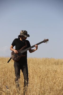 musician, bass guitar, music, guitar, guitarist, instrument, human, portrait, performer, nature, young man, art