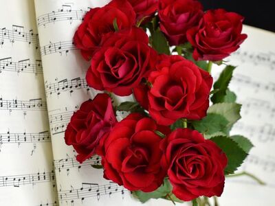 roses, red roses, grades, love song, love, sheet music, blossoms, flower, teacher gradebook, make music, concert, songs, wedding song, to sing, choir, sounds, music, love for music, notenblatt, birthday song, date of birth, birthday greeting, valentine's day, hd background, melody