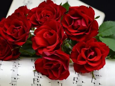 roses, red roses, grades, love song, love, sheet music, blossoms, flower, teacher gradebook, make music, concert, songs, wedding song, to sing, choir, sounds, music, love for music, notenblatt, birthday song, date of birth, birthday greeting, valentine's day, hd background, melody