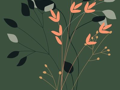 boho, bohemian, background, drawing, nature, flowers, bouquet, seeds, leaves, botanical