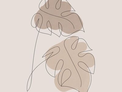 boho, monstera, bohemian, background, drawing, nature, leaves, minimalistic